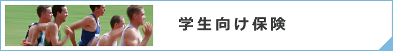 学生向け保険