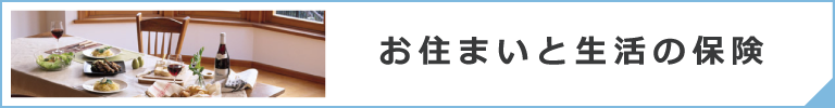 お住まいと生活の保険